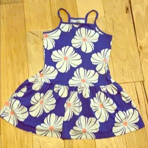Gymboree Girls Dress size 6